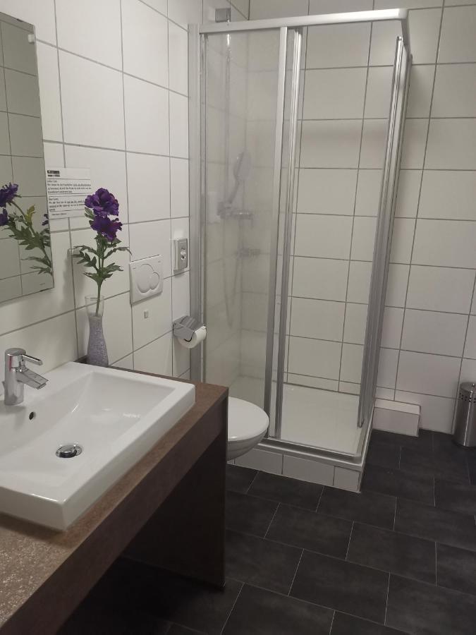 Хостел Boardinghouse Sinsheim Zentral Am Burgplatz Экстерьер фото